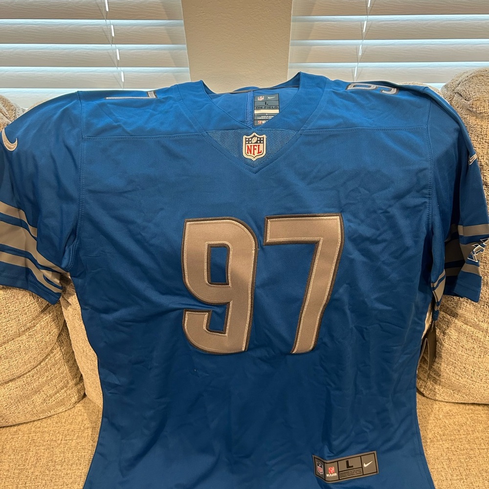 NFL Detroit Lions